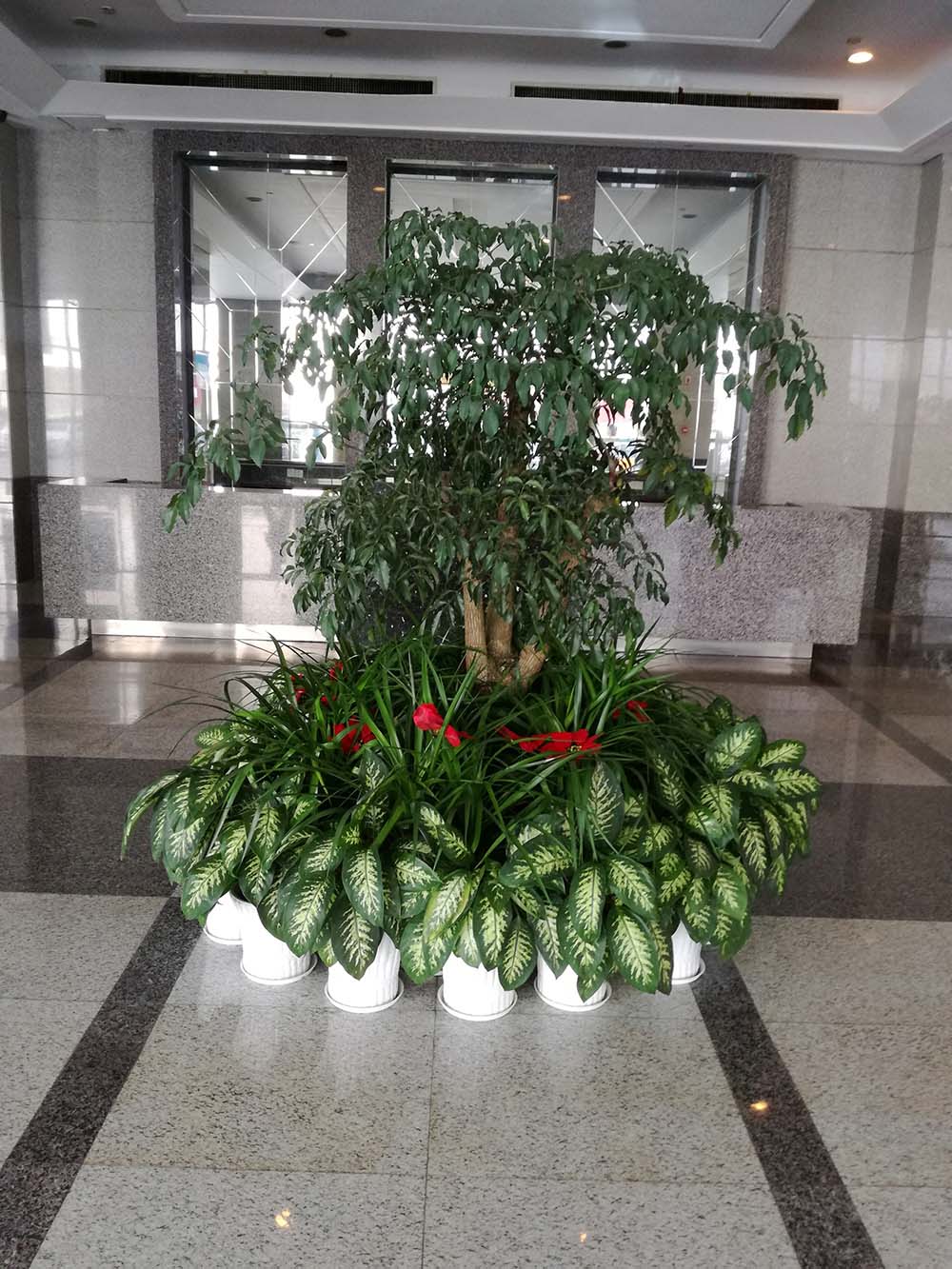 花壇 (3).jpg
